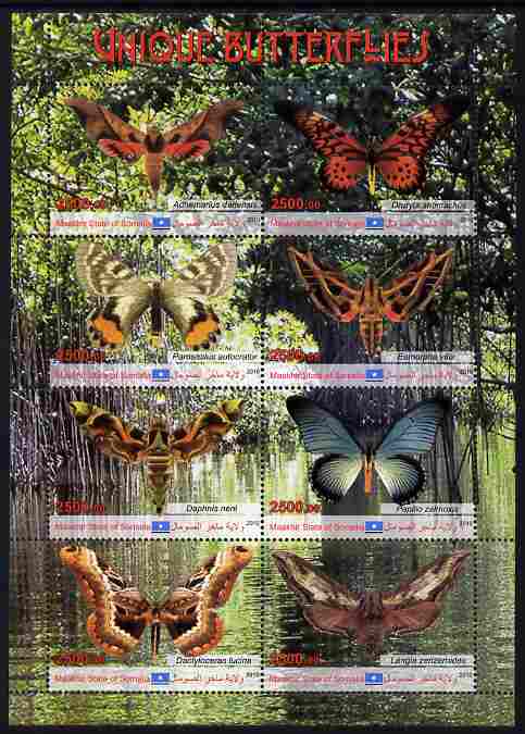 Maakhir State of Somalia 2010 Unique Butterflies perf sheetlet containing 8 values unmounted mint , stamps on butterflies