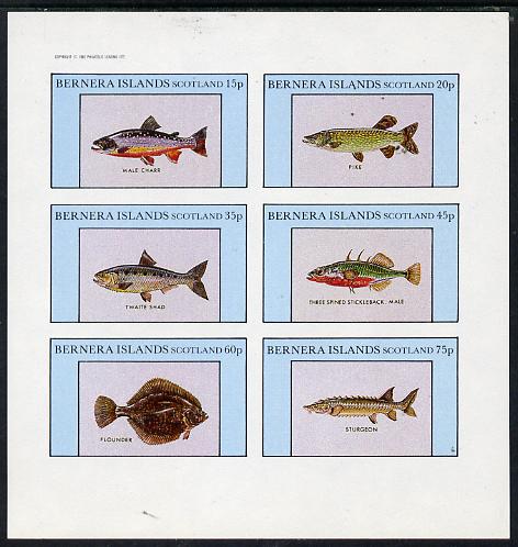 Bernera 1982 Fish (Char, Pike, Sturgeon, Flounder etc) imperf set of 6 values (15p to 75p) unmounted mint, stamps on , stamps on  stamps on fish     marine-life