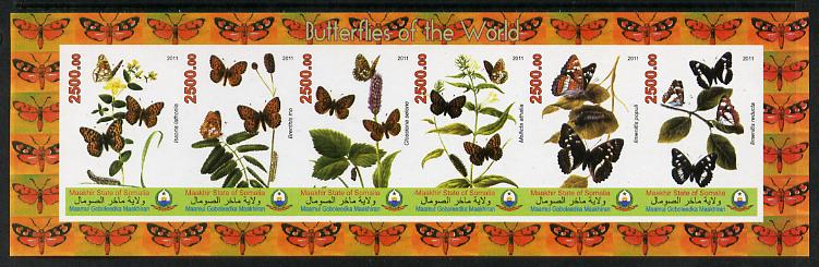 Puntland State of Somalia 2011 Butterflies of the World #3 imperf sheetlet containing 6 values unmounted mint, stamps on butterflies