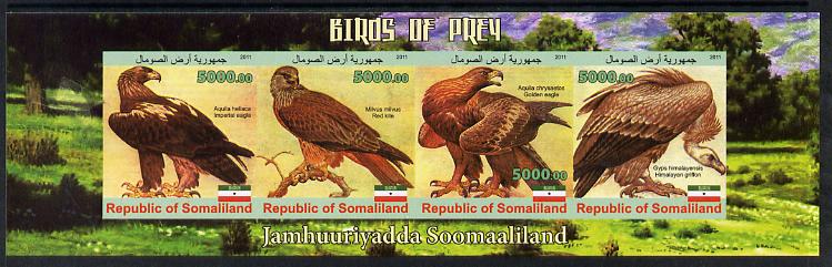 Somaliland 2011 Birds of Prey #1 imperf sheetlet containing 4 values unmounted mint, stamps on , stamps on  stamps on birds, stamps on  stamps on birds of prey