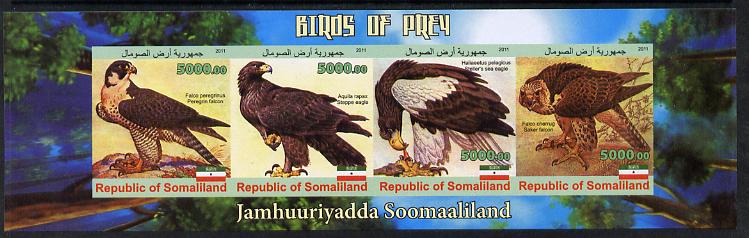 Somaliland 2011 Birds of Prey #2 imperf sheetlet containing 4 values unmounted mint, stamps on , stamps on  stamps on birds, stamps on  stamps on birds of prey