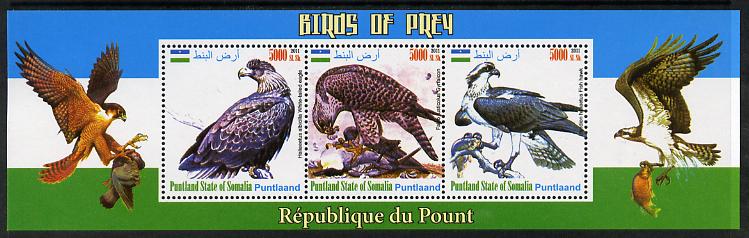 Puntland State of Somalia 2011 Birds of Prey perf sheetlet containing 3 values unmounted mint, stamps on birds, stamps on birds of prey