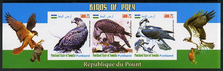 Puntland State of Somalia 2011 Birds of Prey imperf sheetlet containing 3 values unmounted mint, stamps on , stamps on  stamps on birds, stamps on  stamps on birds of prey