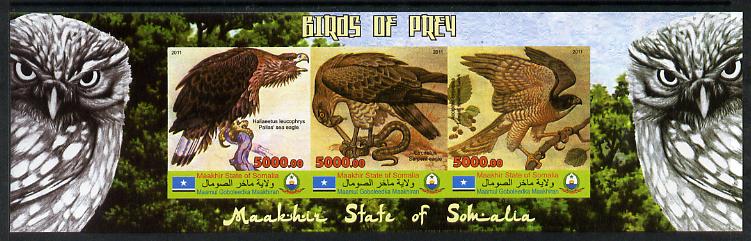 Maakhir State of Somalia 2011 Birds of Prey #2 imperf sheetlet containing 3 values unmounted mint, stamps on , stamps on  stamps on birds, stamps on  stamps on birds of prey, stamps on  stamps on owls