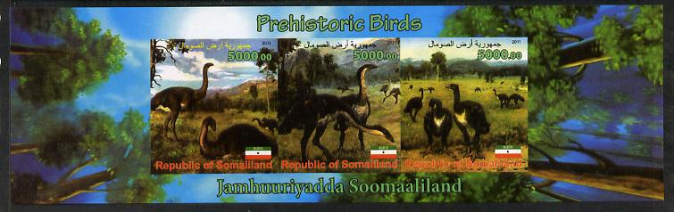 Somaliland 2011 Pre-historic Birds imperf sheetlet containing 3 values unmounted mint, stamps on , stamps on  stamps on dinosaurs, stamps on  stamps on birds, stamps on  stamps on 