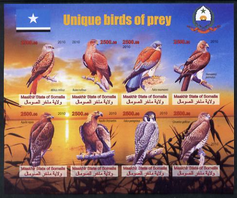 Maakhir State of Somalia 2010 Unique Birds of Prey imperf sheetlet containing 8 values unmounted mint , stamps on , stamps on  stamps on birds, stamps on  stamps on birds of prey, stamps on  stamps on 