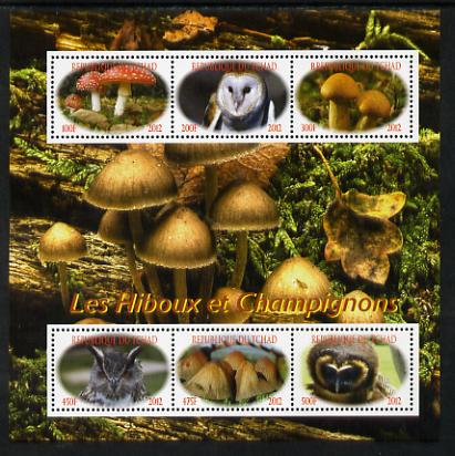 Chad 2012 Owls & Mushrooms perf sheetlet containing 6 values unmounted mint. Note this item is privately produced and is offered purely on its thematic appeal. . appeal, stamps on , stamps on  stamps on fungi, stamps on  stamps on birds, stamps on  stamps on birds of prey, stamps on  stamps on owls