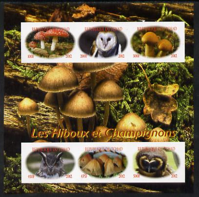 Chad 2012 Owls & Mushrooms imperf sheetlet containing 6 values unmounted mint. Note this item is privately produced and is offered purely on its thematic appeal. . appeal, stamps on , stamps on  stamps on fungi, stamps on  stamps on birds, stamps on  stamps on birds of prey, stamps on  stamps on owls