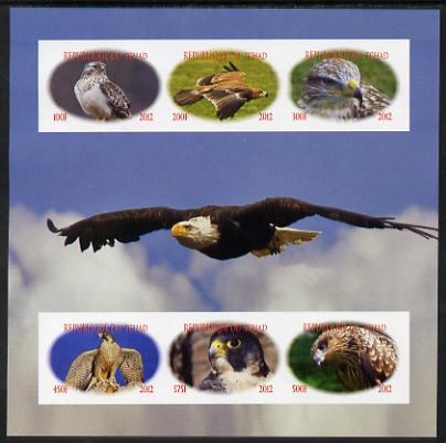 Chad 2012 Birds of Prey imperf sheetlet containing 6 values unmounted mint. Note this item is privately produced and is offered purely on its thematic appeal, stamps on , stamps on  stamps on birds, stamps on  stamps on birds of prey, stamps on  stamps on eagles