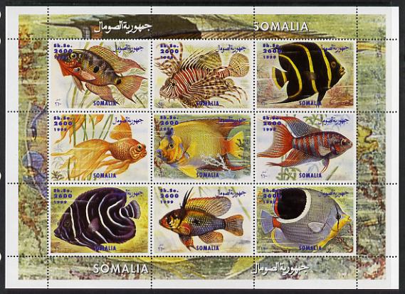 Somalia 1999 Fish perf sheetlet containing 9 values unmounted mint. Note this item is privately produced and is offered purely on its thematic appeal 