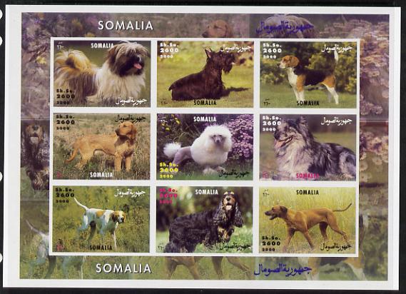 Somalia 2000 Dogs imperf sheetlet containing 9 values unmounted mint. Note this item is privately produced and is offered purely on its thematic appeal, it has no postal validity, stamps on , stamps on  stamps on dogs