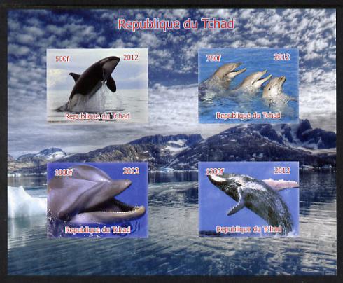 Chad 2012 Whales & Dolphins imperf sheetlet containing 4 values unmounted mint. Note this item is privately produced and is offered purely on its thematic appeal. , stamps on , stamps on  stamps on whales, stamps on  stamps on dolphins, stamps on  stamps on marine life