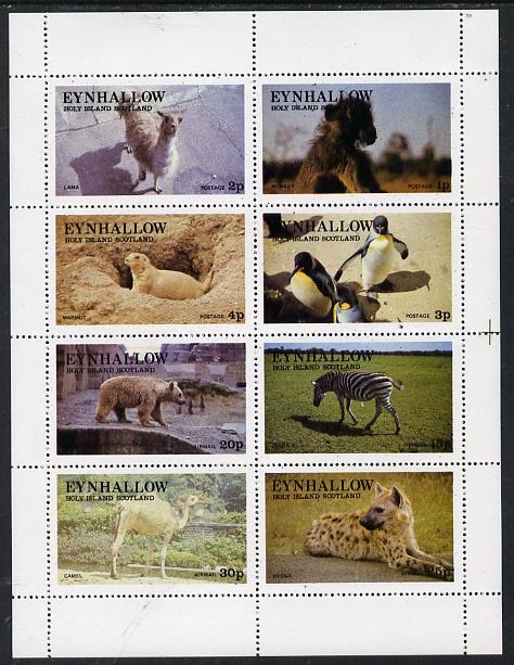 Eynhallow 1977 Zoo Animals (Penguin, Zebra, Monkey, Bear, etc) perf  set of 8 values (1p to 30p) unmounted mint, stamps on animals        zebra    apes   penguins     polar     camel     llama    marmot      hyena      bear    zoo, stamps on  zoo , stamps on zoos, stamps on 