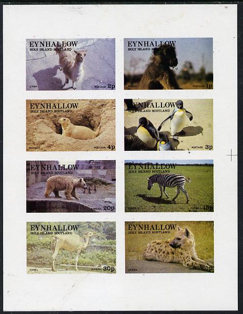 Eynhallow 1977 Zoo Animals (Penguin, Zebra, Monkey, Bear, etc) imperf  set of 8 values (1p to 30p) unmounted mint, stamps on , stamps on  stamps on animals    apes   penguins      polar    bear    zoo    zebras, stamps on  stamps on  zoo , stamps on  stamps on zoos, stamps on  stamps on , stamps on  stamps on zebra