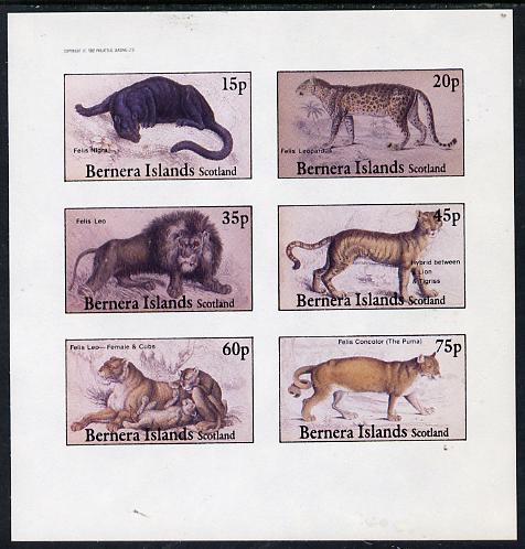 Bernera 1982 Animals (Lion, leopard, Puma etc) imperf set of 6 values (15p to 75p) unmounted mint, stamps on animals    cats