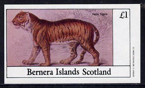 Bernera 1982 Animals (Tiger) imperf souvenir sheet (£1 value) unmounted mint, stamps on animals    cats