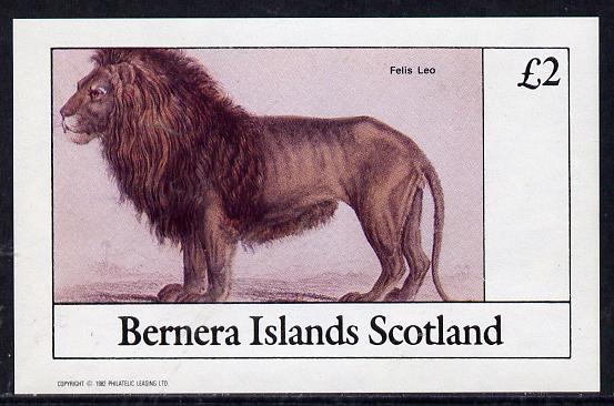 Bernera 1982 Animals (Lion) imperf deluxe sheet (£2 value) unmounted mint, stamps on animals    cats