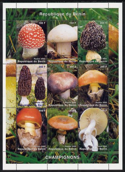 Benin 2002 Fungi perf sheetlet containing set of 9 values unmounted mint. Note this item is privately produced and is offered purely on its thematic appeal, stamps on , stamps on  stamps on fungi