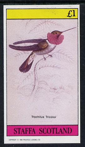 Staffa 1982 Hummingbirds #05 imperf souvenir sheet (£1 value) unmounted mint, stamps on birds, stamps on humming-birds, stamps on hummingbirds