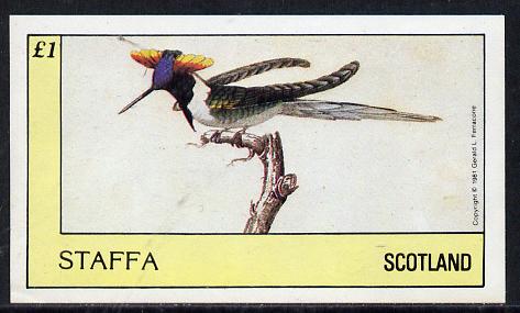 Staffa 1981 Hummingbirds #04 imperf souvenir sheet (£1 value) unmounted mint, stamps on birds, stamps on humming-birds, stamps on hummingbirds