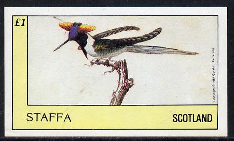 Staffa 1981 Hummingbirds #04 imperf souvenir sheet (Â£1 value) unmounted mint, stamps on , stamps on  stamps on birds     humming-birds, stamps on  stamps on hummingbirds